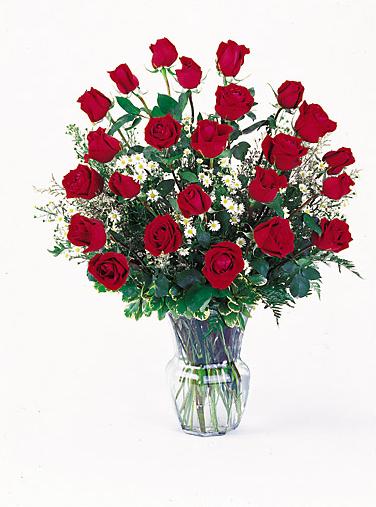 24 Red Roses
